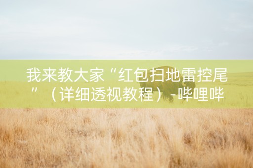 我来教大家“红包扫地雷控尾”（详细透视教程）-哔哩哔哩