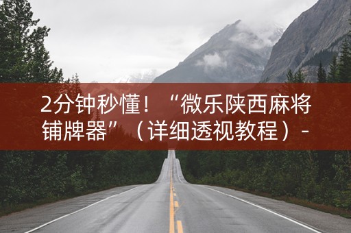 2分钟秒懂！“微乐陕西麻将铺牌器”（详细透视教程）-哔哩哔哩