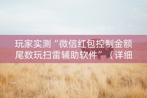 玩家实测“微信红包控制金额尾数玩扫雷辅助软件”（详细透视教程）-哔哩哔哩