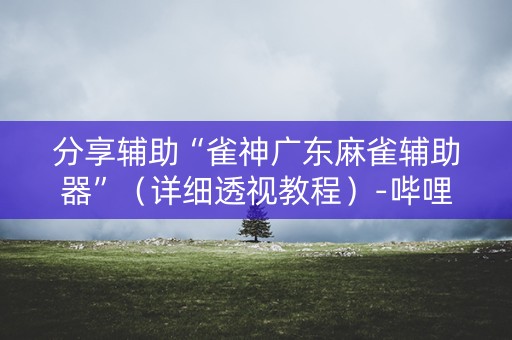 分享辅助“雀神广东麻雀辅助器”（详细透视教程）-哔哩哔哩