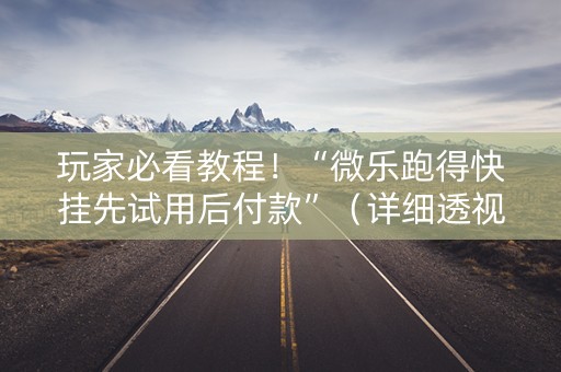 玩家必看教程！“微乐跑得快挂先试用后付款”（详细透视教程）-哔哩哔哩