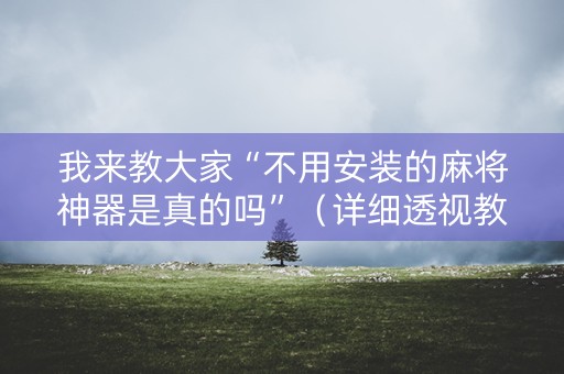我来教大家“不用安装的麻将神器是真的吗”（详细透视教程）-哔哩哔哩