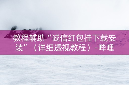 教程辅助“诚信红包挂下载安装”（详细透视教程）-哔哩哔哩