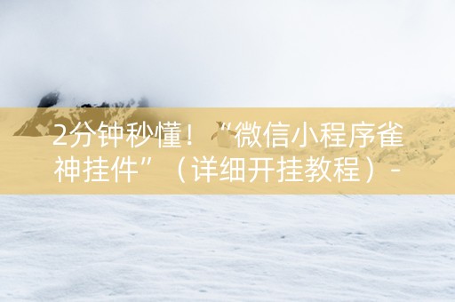 2分钟秒懂！“微信小程序雀神挂件”（详细开挂教程）-哔哩哔哩
