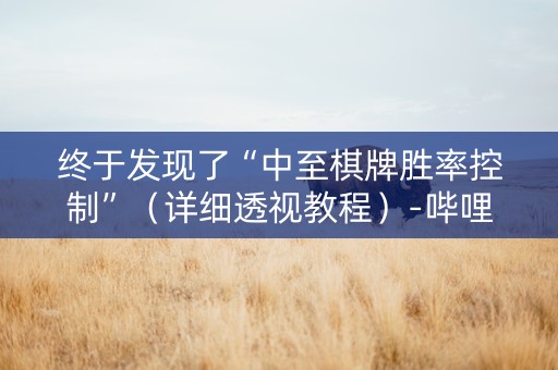 终于发现了“中至棋牌胜率控制”（详细透视教程）-哔哩哔哩