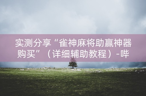 实测分享“雀神麻将助赢神器购买”（详细辅助教程）-哔哩哔哩