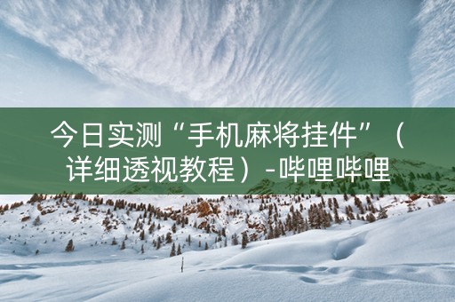 今日实测“手机麻将挂件”（详细透视教程）-哔哩哔哩