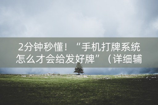 2分钟秒懂！“手机打牌系统怎么才会给发好牌”（详细辅助教程）-哔哩哔哩