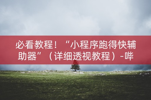 必看教程！“小程序跑得快辅助器”（详细透视教程）-哔哩哔哩