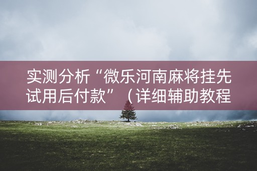 实测分析“微乐河南麻将挂先试用后付款”（详细辅助教程）-哔哩哔哩
