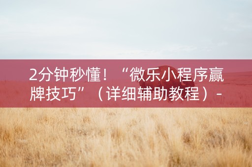 2分钟秒懂！“微乐小程序赢牌技巧”（详细辅助教程）-哔哩哔哩