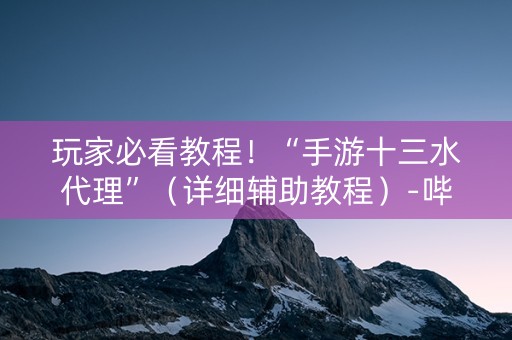 玩家必看教程！“手游十三水代理”（详细辅助教程）-哔哩哔哩
