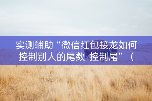 实测辅助“微信红包接龙如何控制别人的尾数-控制尾”（详细透视教程）-哔哩哔哩