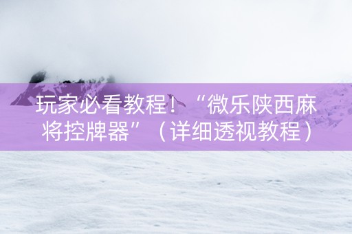 玩家必看教程！“微乐陕西麻将控牌器”（详细透视教程）-哔哩哔哩