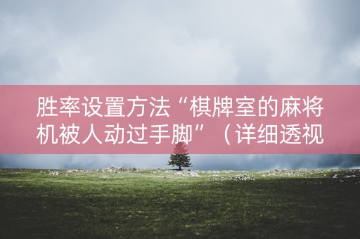 胜率设置方法“棋牌室的麻将机被人动过手脚”（详细透视教程）-哔哩哔哩
