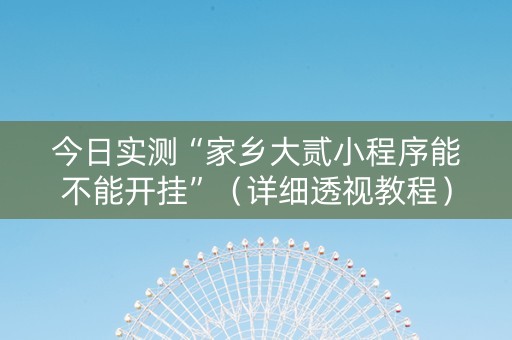 今日实测“家乡大贰小程序能不能开挂”（详细透视教程）-哔哩哔哩