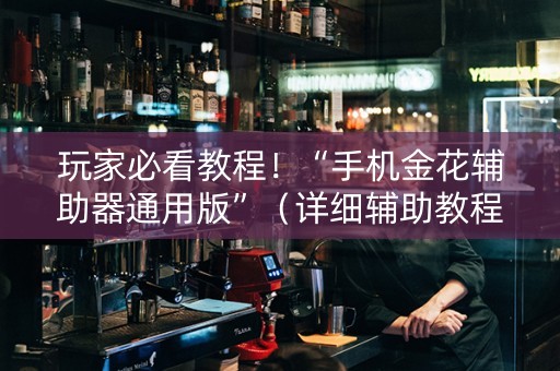 玩家必看教程！“手机金花辅助器通用版”（详细辅助教程）-哔哩哔哩