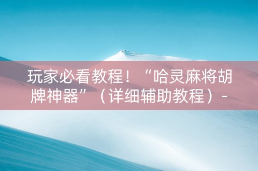 玩家必看教程！“哈灵麻将胡牌神器”（详细辅助教程）-哔哩哔哩