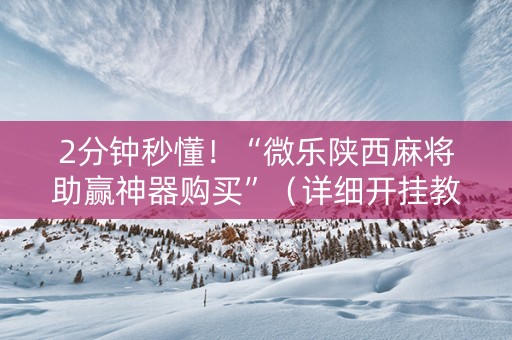 2分钟秒懂！“微乐陕西麻将助赢神器购买”（详细开挂教程）-哔哩哔哩