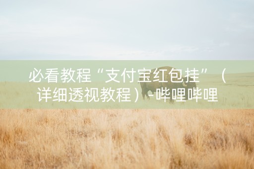 必看教程“支付宝红包挂”（详细透视教程）-哔哩哔哩