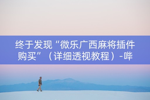 终于发现“微乐广西麻将插件购买”（详细透视教程）-哔哩哔哩