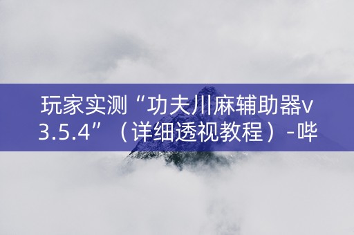 玩家实测“功夫川麻辅助器v3.5.4”（详细透视教程）-哔哩哔哩