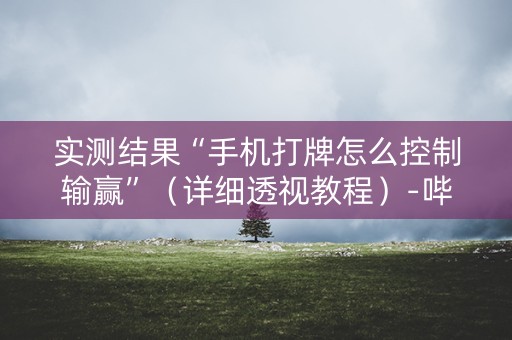 实测结果“手机打牌怎么控制输赢”（详细透视教程）-哔哩哔哩