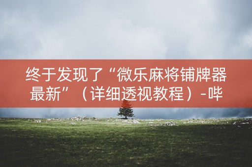 终于发现了“微乐麻将铺牌器最新”（详细透视教程）-哔哩哔哩