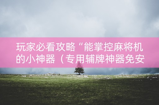 玩家必看攻略“能掌控麻将机的小神器（专用辅牌神器免安装）