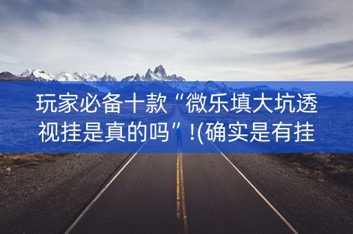 玩家必备十款“微乐填大坑透视挂是真的吗”!(确实是有挂)-知乎