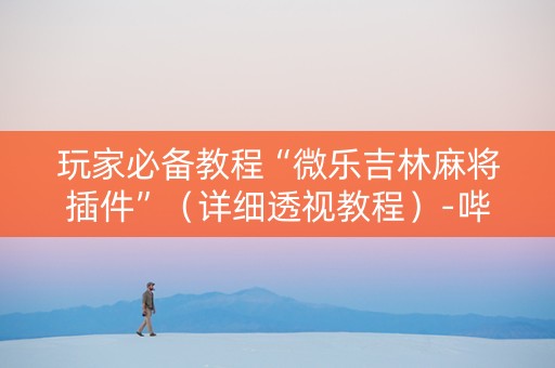 玩家必备教程“微乐吉林麻将插件”（详细透视教程）-哔哩哔哩