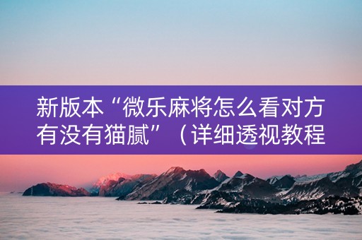 新版本“微乐麻将怎么看对方有没有猫腻”（详细透视教程）-哔哩哔哩