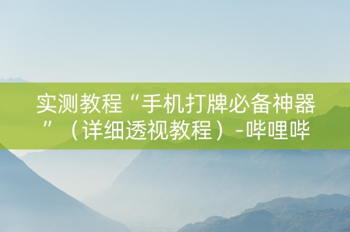 实测教程“手机打牌必备神器”（详细透视教程）-哔哩哔哩