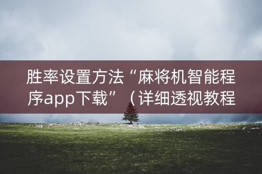 胜率设置方法“麻将机智能程序app下载”（详细透视教程）-哔哩哔哩