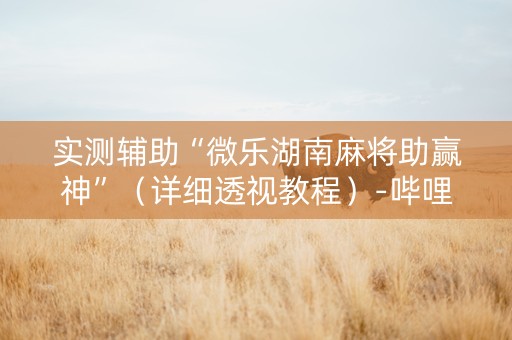 实测辅助“微乐湖南麻将助赢神”（详细透视教程）-哔哩哔哩