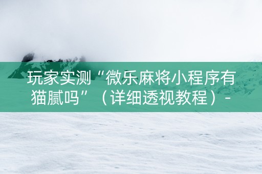 玩家实测“微乐麻将小程序有猫腻吗”（详细透视教程）-哔哩哔哩