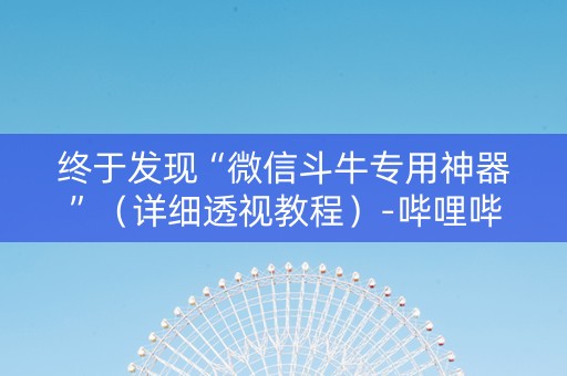 终于发现“微信斗牛专用神器”（详细透视教程）-哔哩哔哩