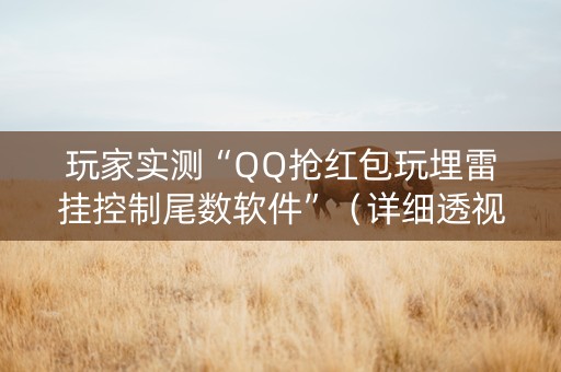 玩家实测“QQ抢红包玩埋雷挂控制尾数软件”（详细透视教程）-哔哩哔哩