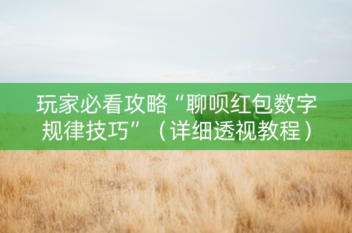 玩家必看攻略“聊呗红包数字规律技巧”（详细透视教程）-哔哩哔哩