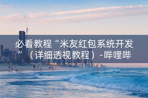 必看教程“米友红包系统开发”（详细透视教程）-哔哩哔哩