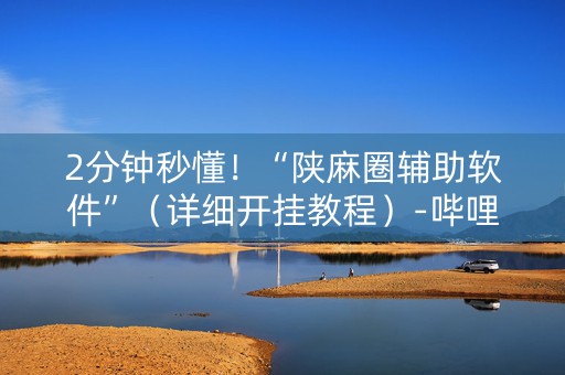 2分钟秒懂！“陕麻圈辅助软件”（详细开挂教程）-哔哩哔哩
