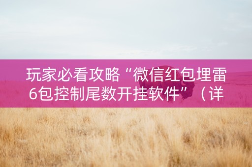 玩家必看攻略“微信红包埋雷6包控制尾数开挂软件”（详细透视教程）-哔哩哔哩