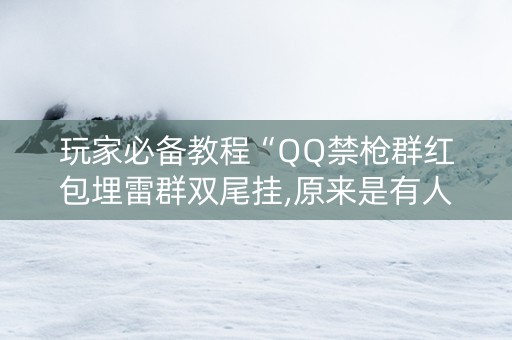 玩家必备教程“QQ禁枪群红包埋雷群双尾挂,原来是有人用开挂”（详细透视教程）-哔哩哔哩