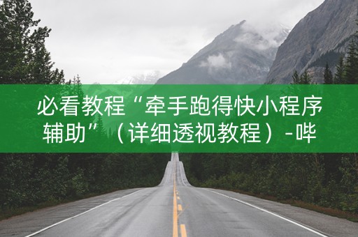 必看教程“牵手跑得快小程序辅助”（详细透视教程）-哔哩哔哩