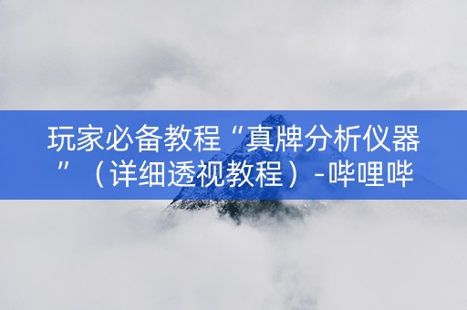 玩家必备教程“真牌分析仪器”（详细透视教程）-哔哩哔哩