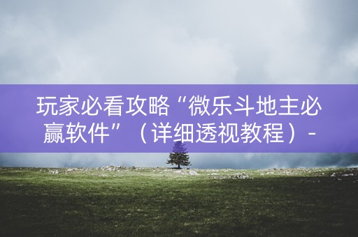玩家必看攻略“微乐斗地主必赢软件”（详细透视教程）-哔哩哔哩