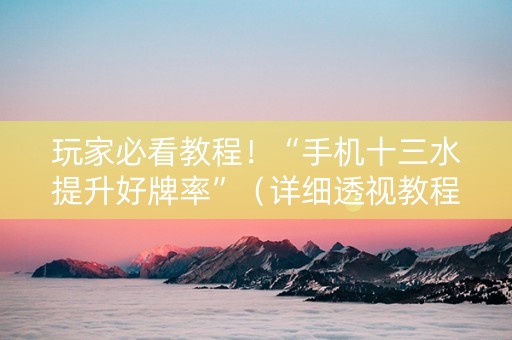 玩家必看教程！“手机十三水提升好牌率”（详细透视教程）-哔哩哔哩