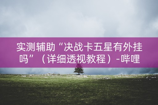 实测辅助“决战卡五星有外挂吗”（详细透视教程）-哔哩哔哩