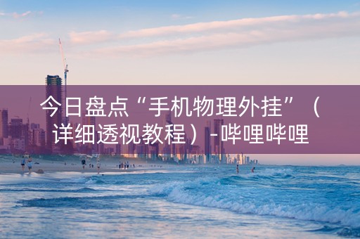 今日盘点“手机物理外挂”（详细透视教程）-哔哩哔哩