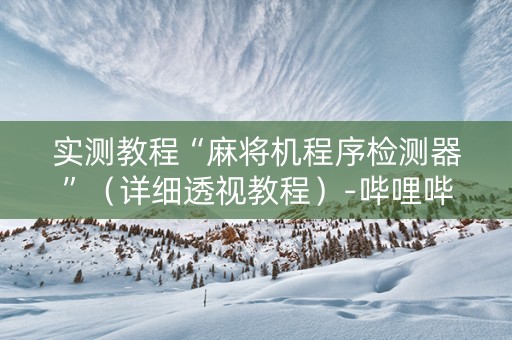 实测教程“麻将机程序检测器”（详细透视教程）-哔哩哔哩